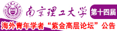 大鸡巴插骚逼视频南京理工大学第十四届海外青年学者紫金论坛诚邀海内外英才！